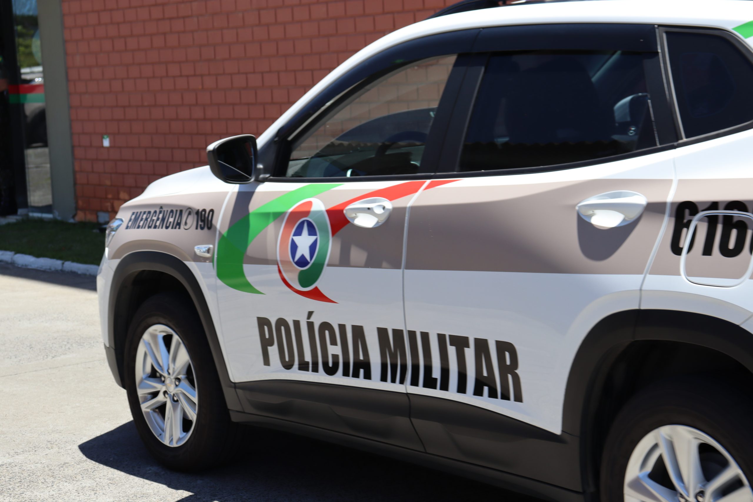 Após matar mãe e irmã a facadas, homem cava buraco para esconder corpos mas é surpreendido