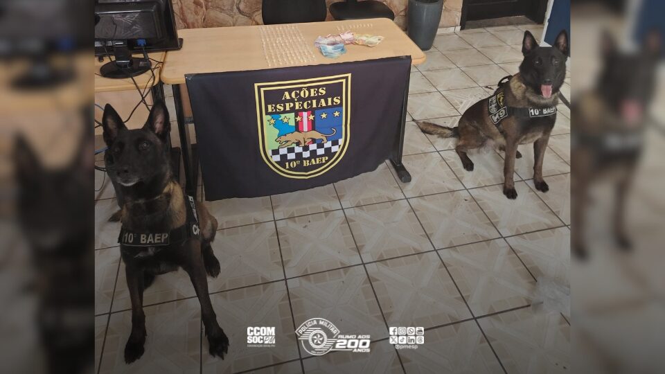 Polícia Militar prende homem por tráfico de drogas em Sumaré