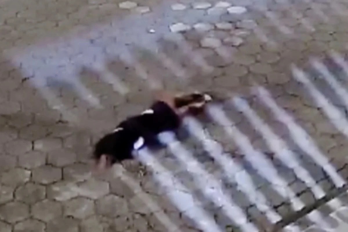 Mulher é espancada pelo companheiro até desmaiar no meio da rua; assista