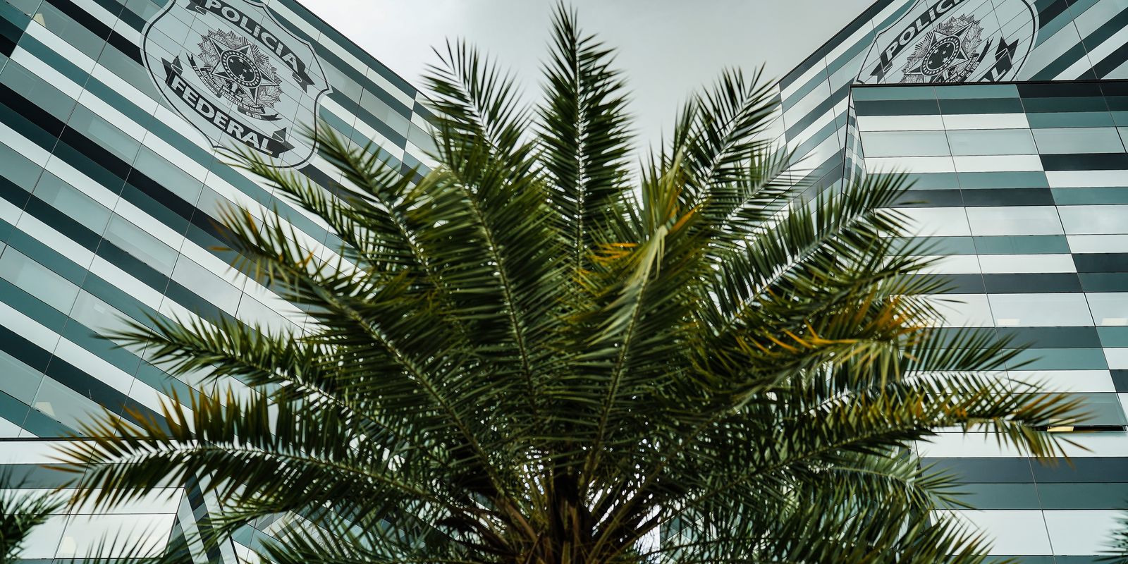 Polícia Federal remarca oitivas de três envolvidos em apuração sobre o Banco Master