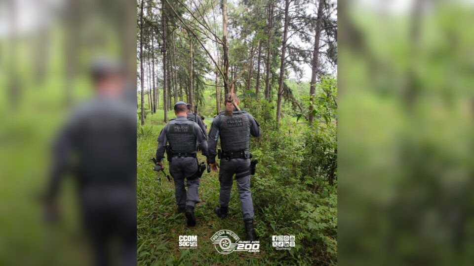 Polícia captura foragido por feminicídio na zona sul de São Paulo
