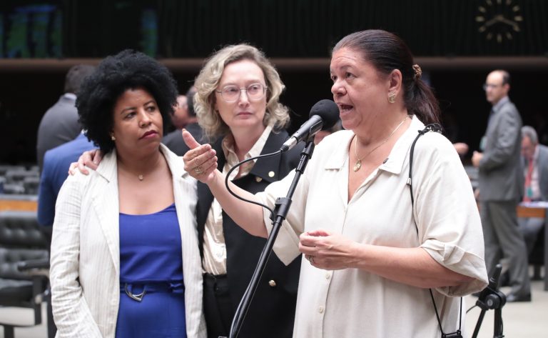 Câmara dos Deputados deve votar punições para violência vicária na próxima semana