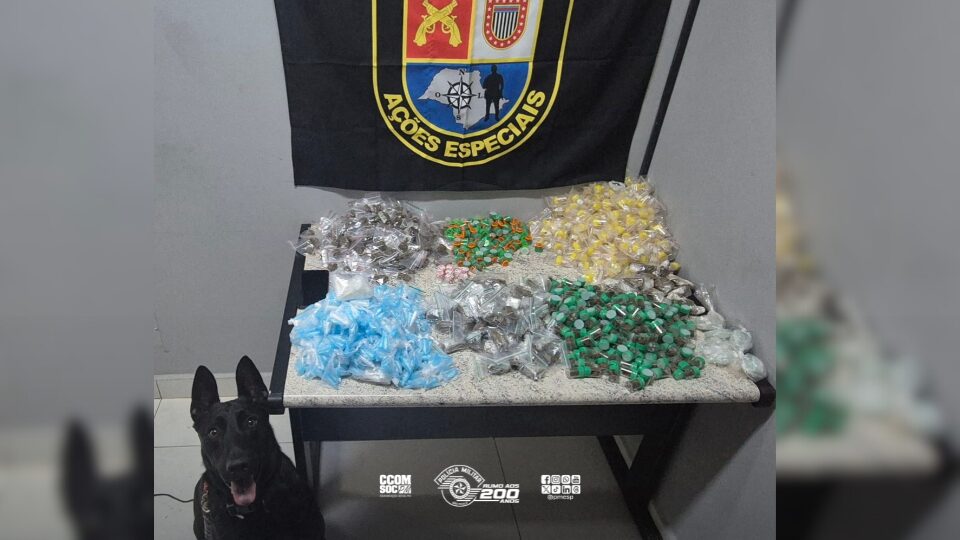 Equipe K9 do 13º Baep detém traficante em Bauru com apoio de cão farejador