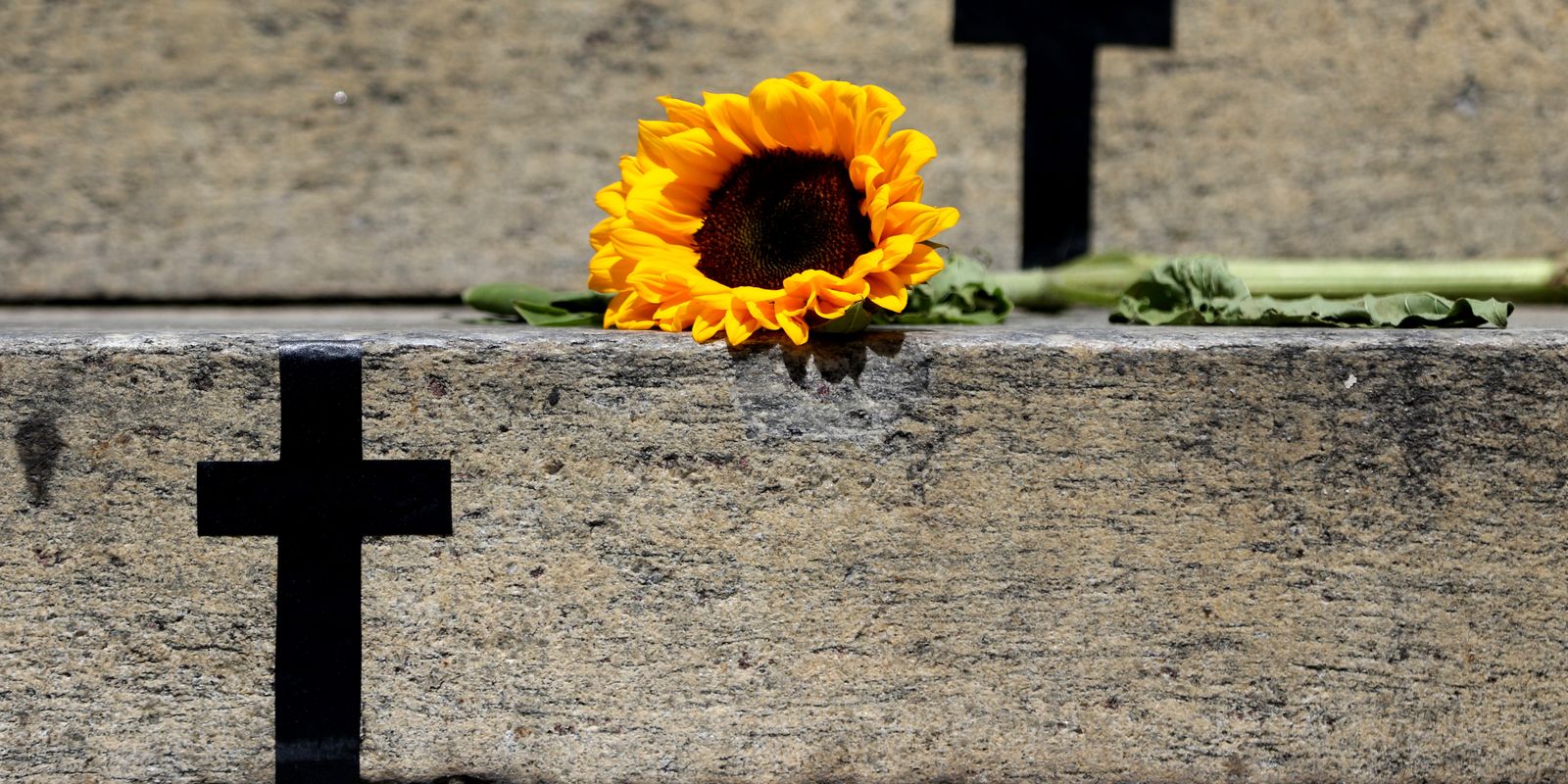 Tragédia em Itumbiara destaca a violência vicária; entenda o conceito