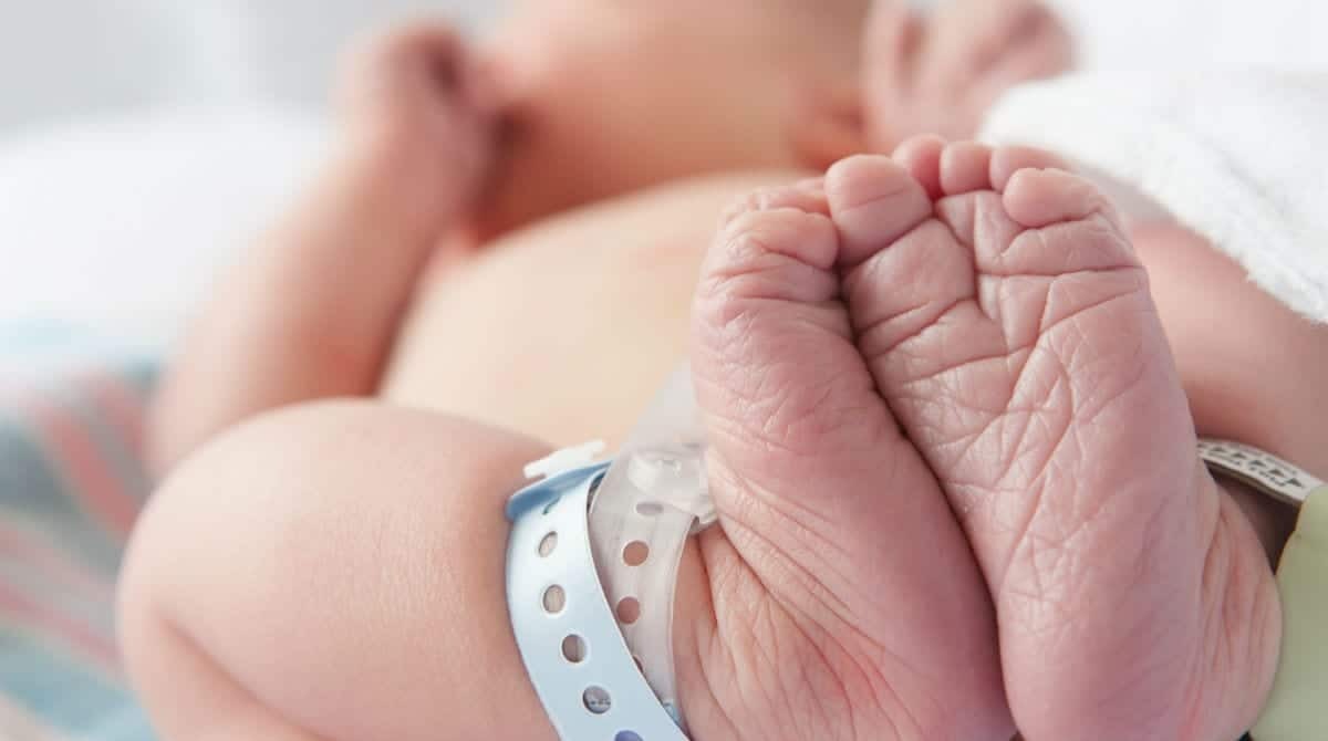 Pesquisa sugere que bebês nascidos em três meses específicos tendem a ser mais tranquilos