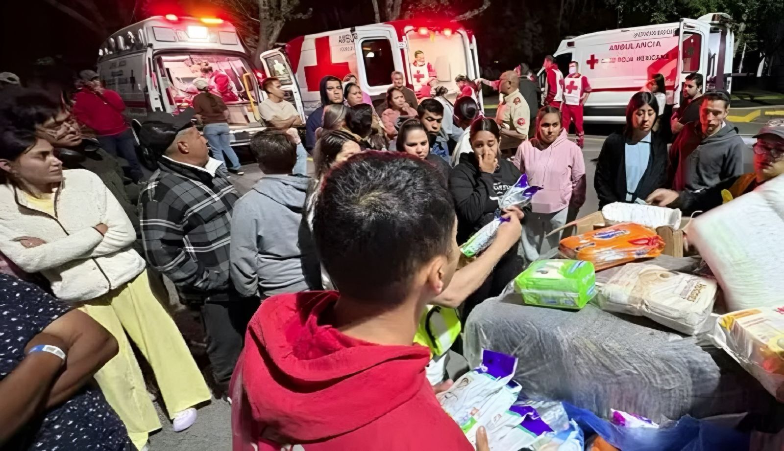 Mais de mil visitantes retidos em zoológico mexicano devido a intensa onda de violência