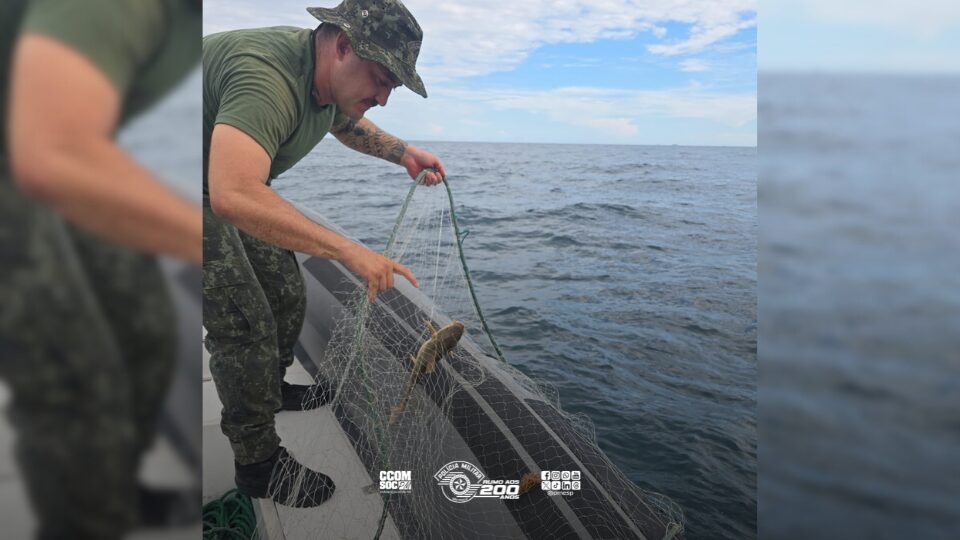 Polícia Ambiental confisca rede de pesca proibida com quase 3 km e salva animais marinhos no Guarujá