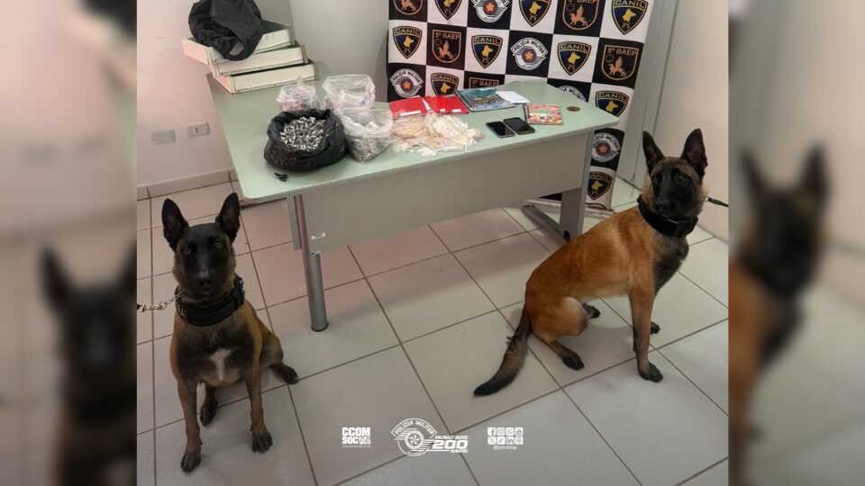Cão farejador auxilia Polícia Militar na apreensão de entorpecentes em Vargem Grande Paulista