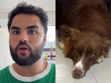 Lucas Guedez se manifesta após acusações de abandono de cadela