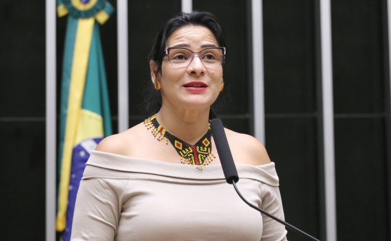 Câmara dos Deputados promove debate sobre os desdobramentos da COP30