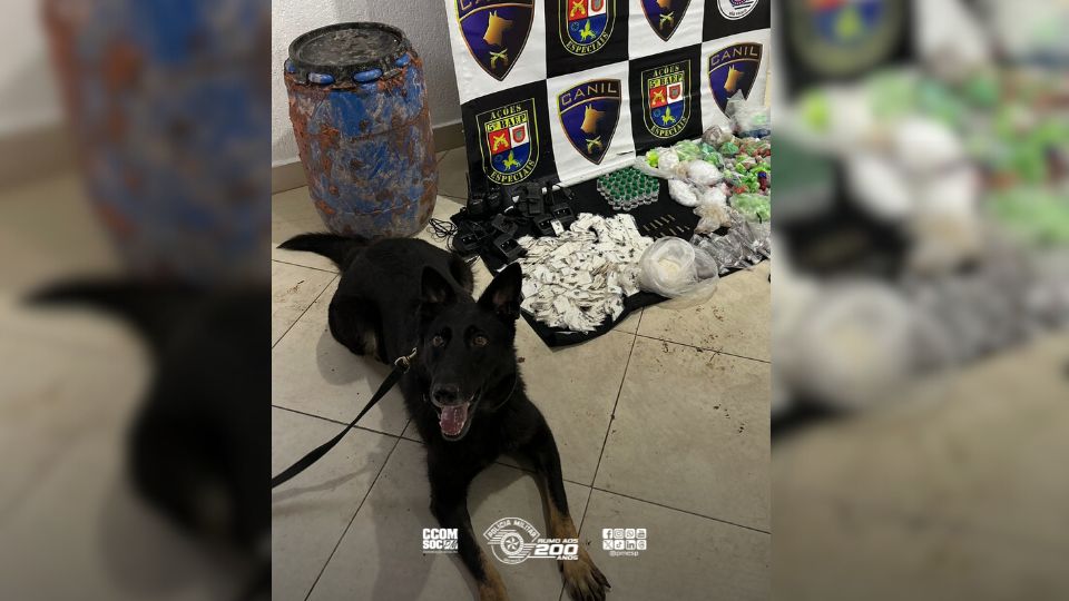 Baep confisca quase 17 quilos de entorpecentes em mata de Osasco