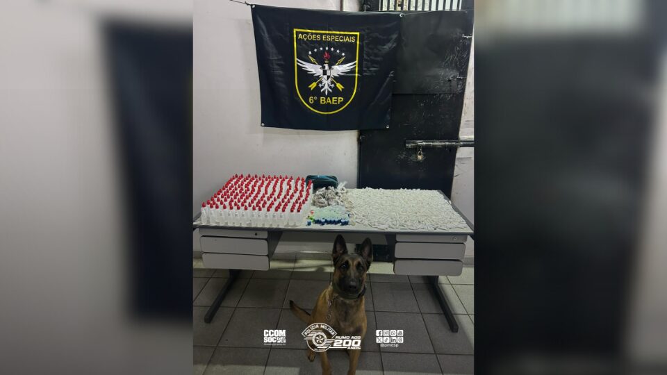 Cão farejador encontra drogas em terreno baldio em São Bernardo do Campo