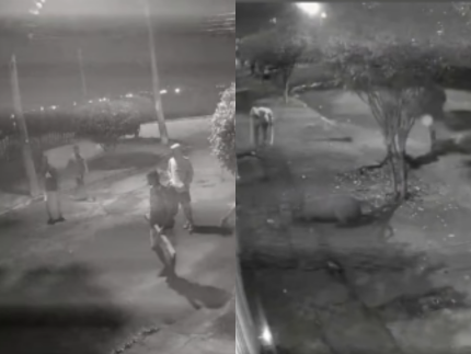 Capivara é brutalmente agredida por oito indivíduos no Rio; agressores são detidos