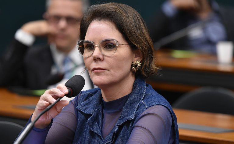 Comissão aprova inclusão da sociedade civil em plano contra violência à mulher