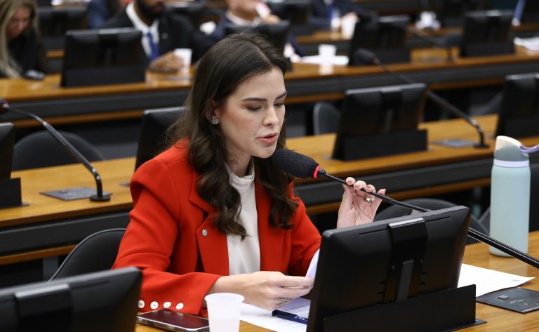 CCJ aprova preferência para grávidas e lactantes no acesso a insumos em crises sanitárias