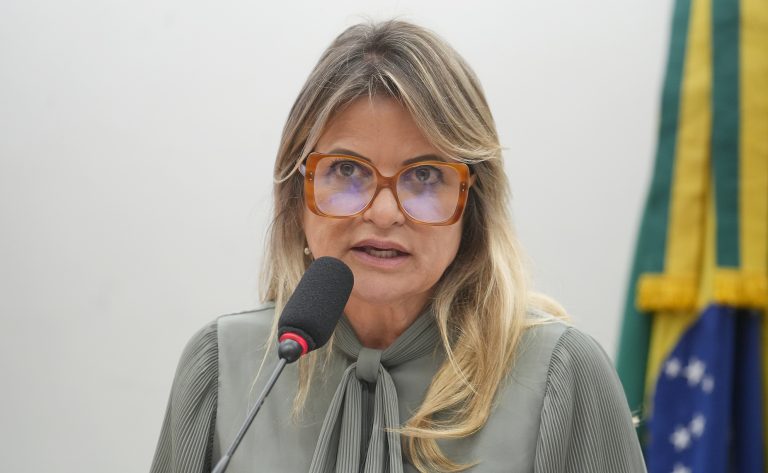 Comissões parlamentares suspendem debate acerca do trabalho infantil digital