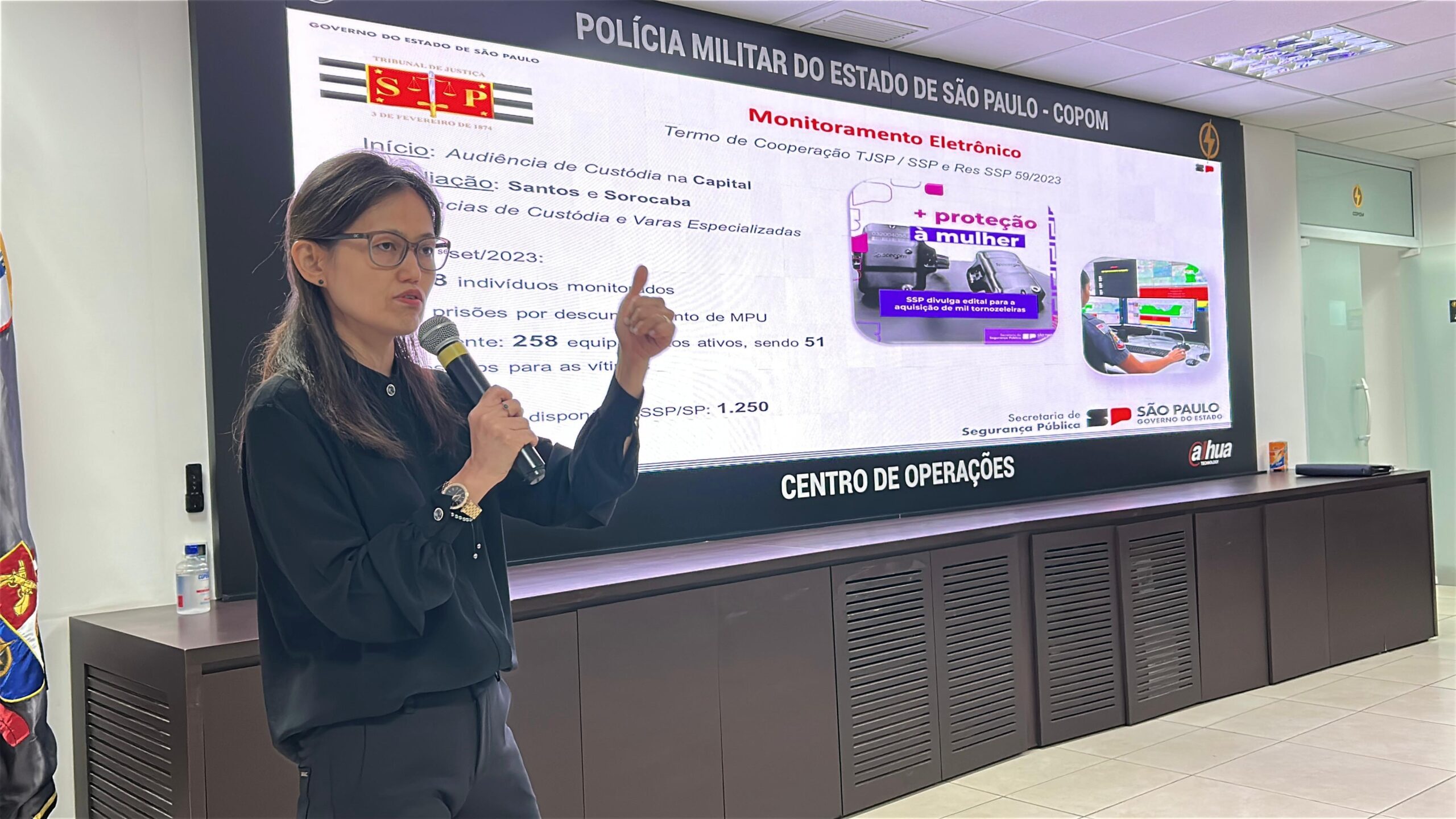 Governo de São Paulo apresenta rede de proteção à mulher ao CNJ