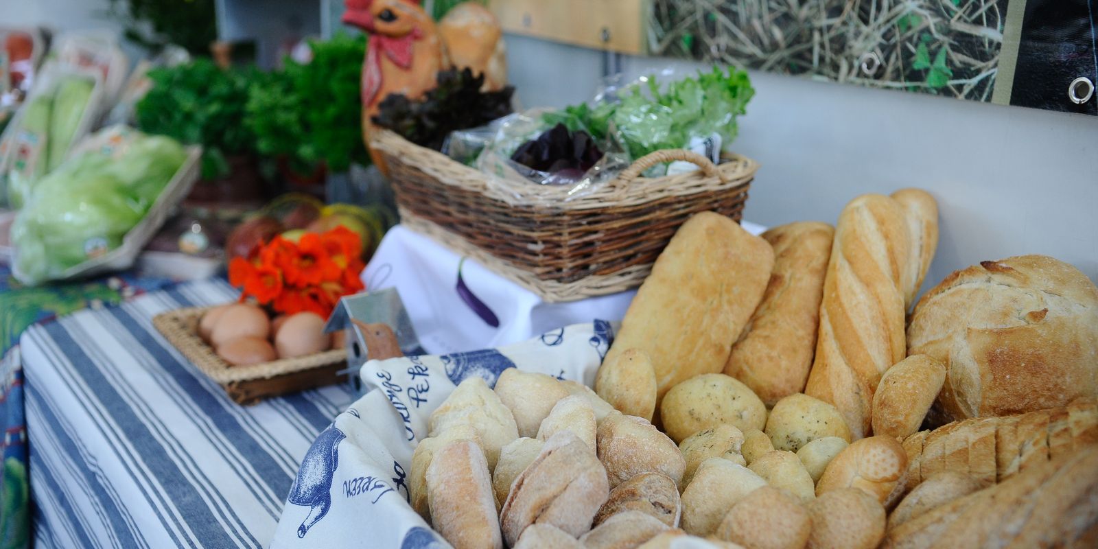 Indústria de alimentos e bebidas registra alta de 8% em 2025, aponta Abia