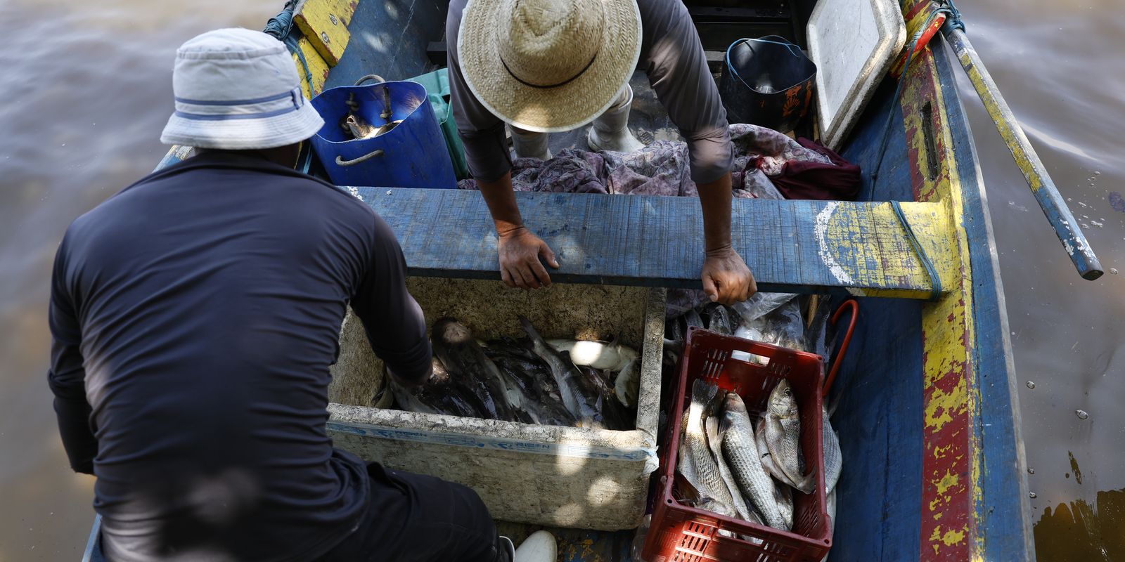 Sexto lote do seguro-defeso é pago a pescadores nesta terça-feira
