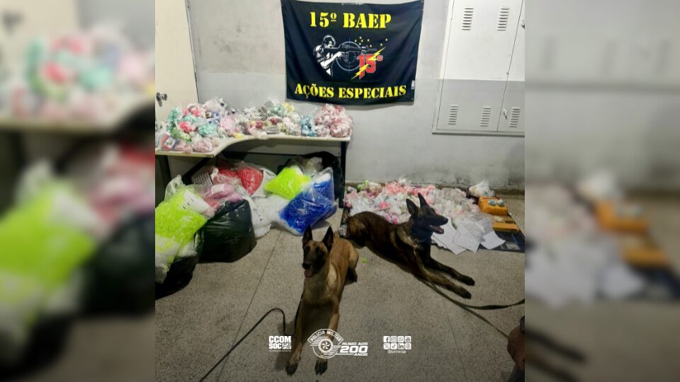 Polícia Militar captura dois suspeitos e apreende expressiva quantidade de drogas em Francisco Morato