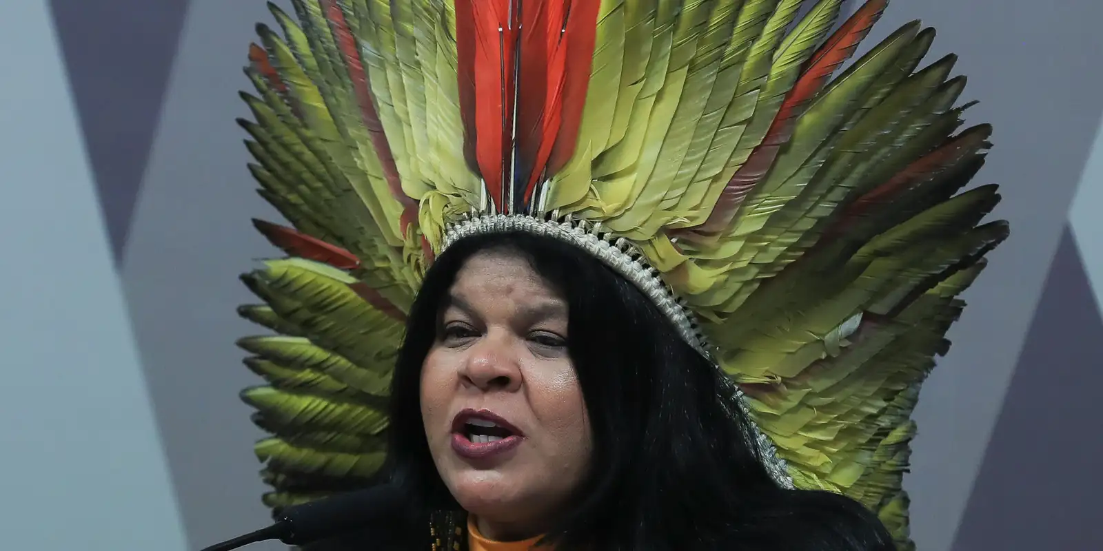 Ministra Sônia Guajajara apresenta melhoras, mas segue internada em São Paulo