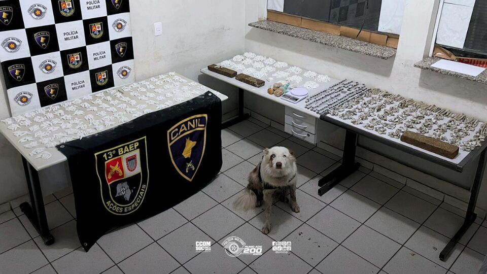 Operação do 13º BAEP resulta na apreensão de entorpecentes em comunidade