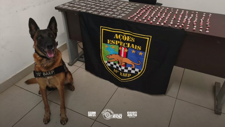 BAEP detém suspeito por tráfico de drogas com auxílio de cão policial em Sumaré, São Paulo