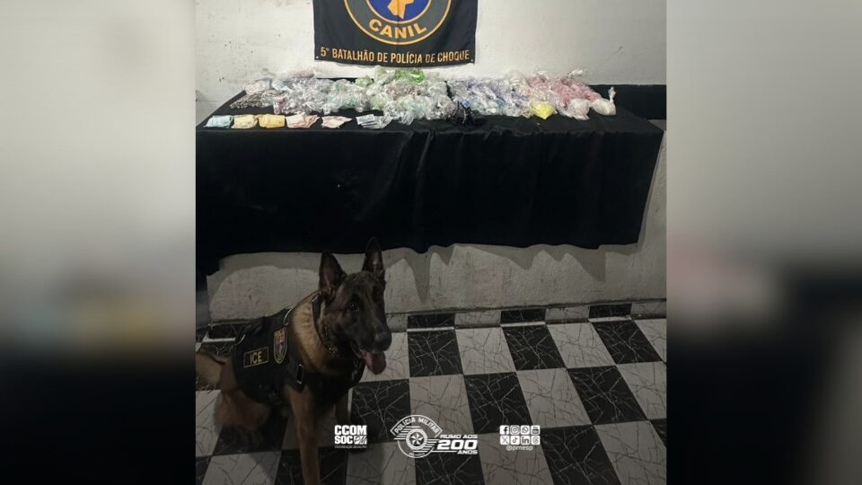 Cão farejador da PM auxilia na apreensão de mais de 7 kg de drogas na zona leste