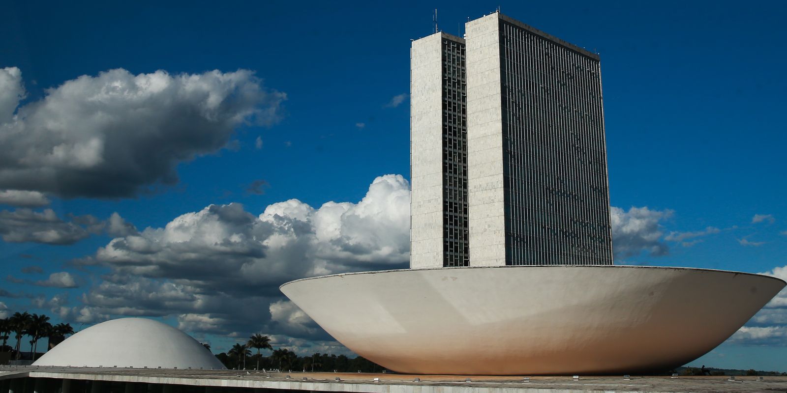 Frente parlamentar ambientalista divulga roteiro para guiar o Congresso