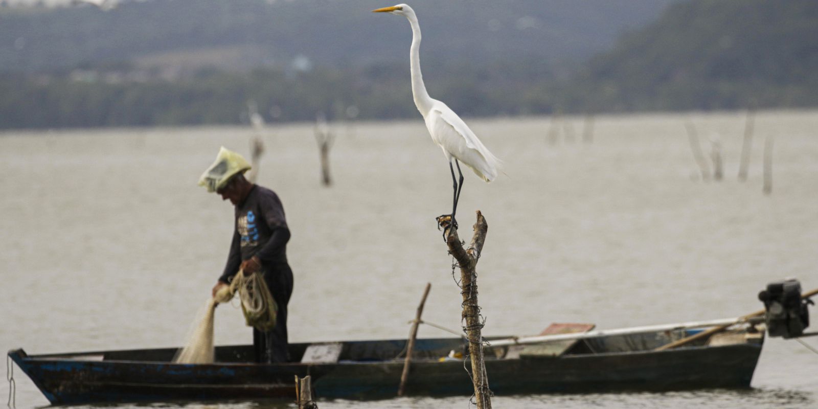 Relator destaca medidas aprovadas para prevenir fraudes no seguro-defeso