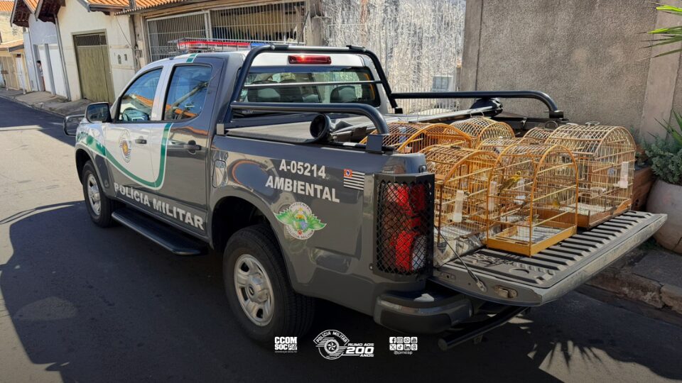 Polícia Ambiental resgata aves silvestres de cativeiro ilegal em Piracicaba