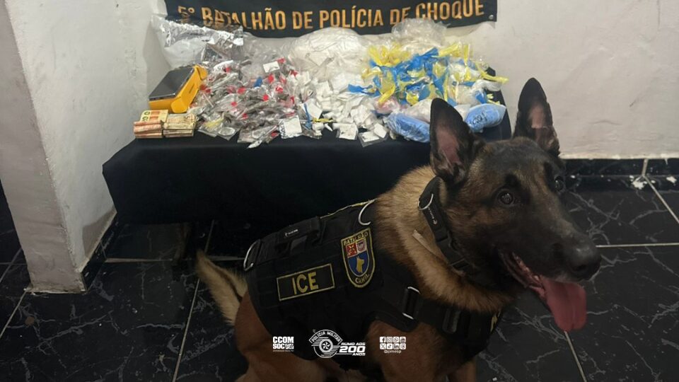 Polícia Militar confisca mais de 3 kg de entorpecentes em ação na zona sul de São Paulo