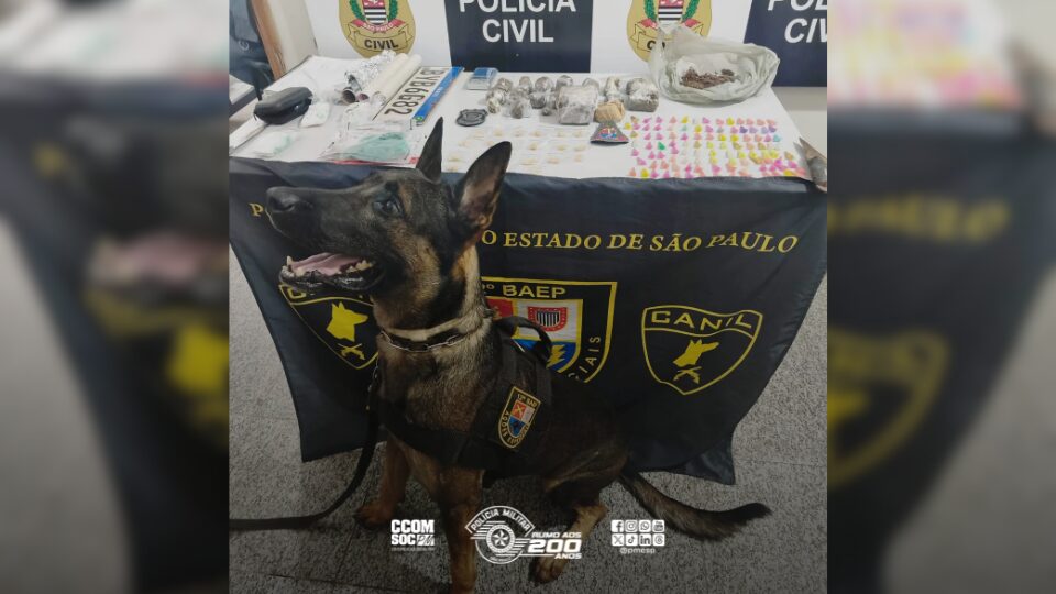 BAEP e Polícia Civil apreendem drogas em Valparaíso durante operação 