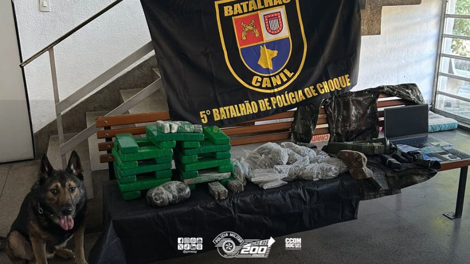 Cão farejador ajuda polícia a encontrar mais de 24 quilos de drogas em Cubatão