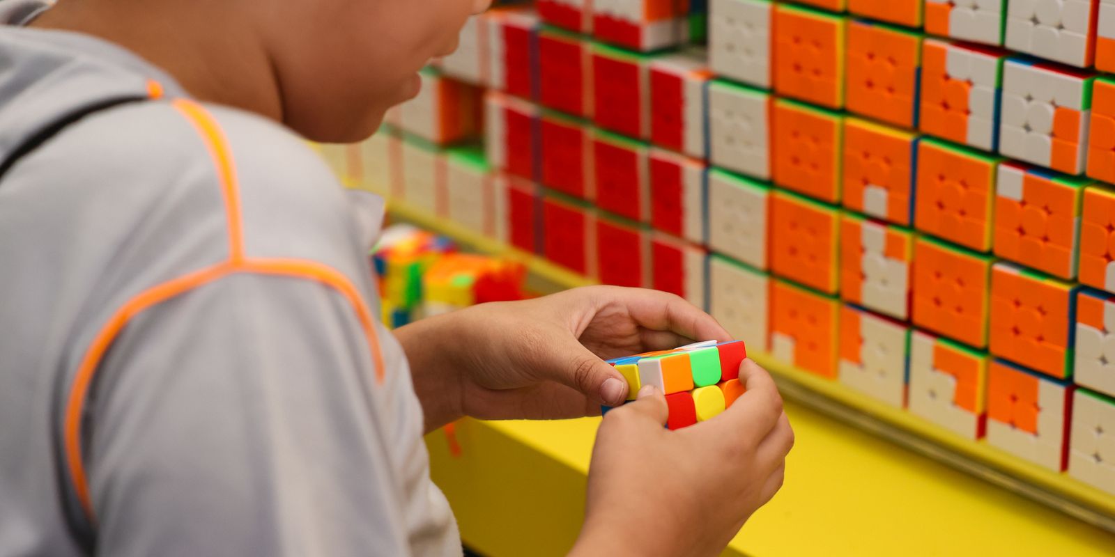 Primeira etapa do Censo da Educação Básica 2026 é iniciada