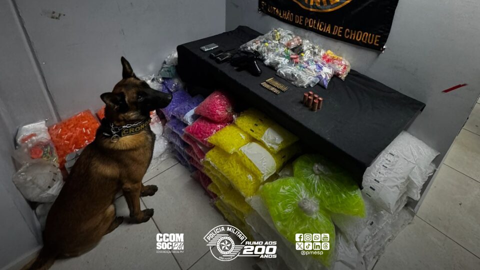 Polícia Militar apreende grande quantidade de drogas e munições na zona norte da capital