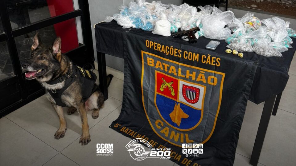 PM intercepta mais de 4,6 toneladas de drogas em ação na Comunidade da Barraca