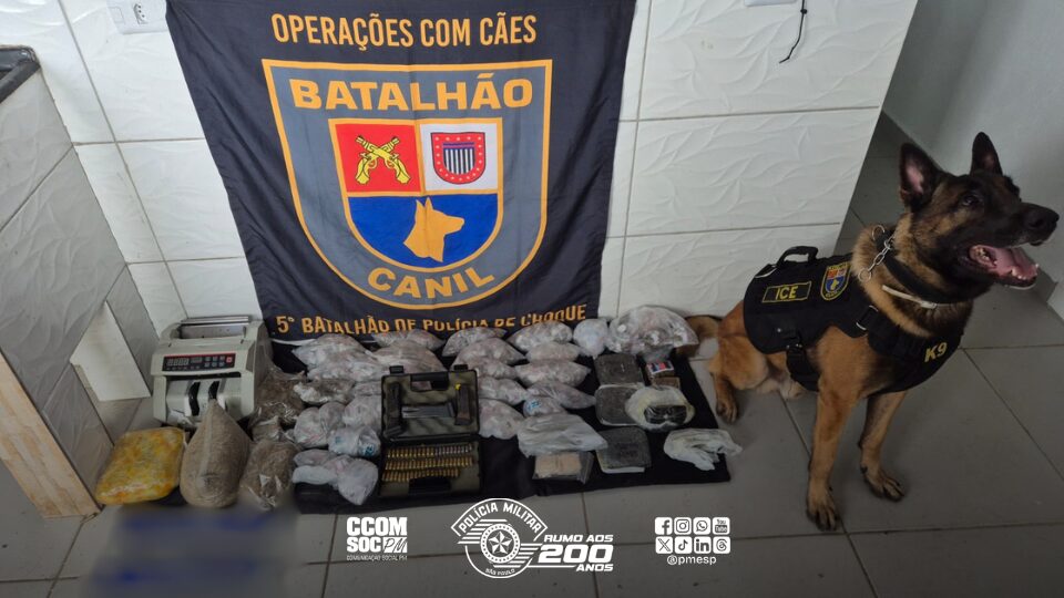 Polícia Militar confisca grande quantidade de drogas e munições em operação no Arapuá