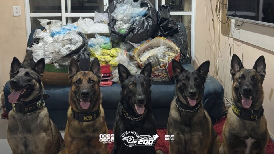 Polícia Militar apreende mais de 51 kg de drogas e arma em Carapicuíba