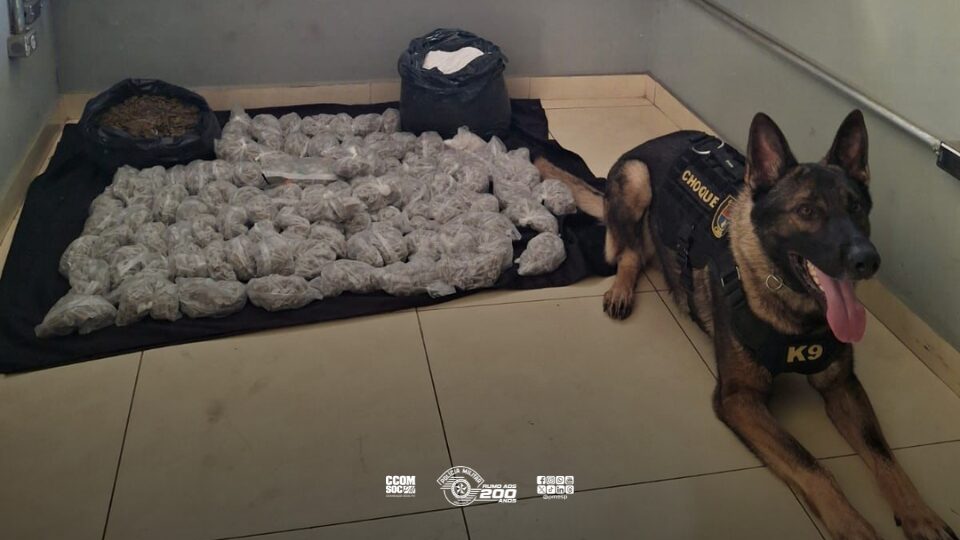 Polícia Militar e cão farejador Phantom realizam grande apreensão de drogas na Zona Oeste