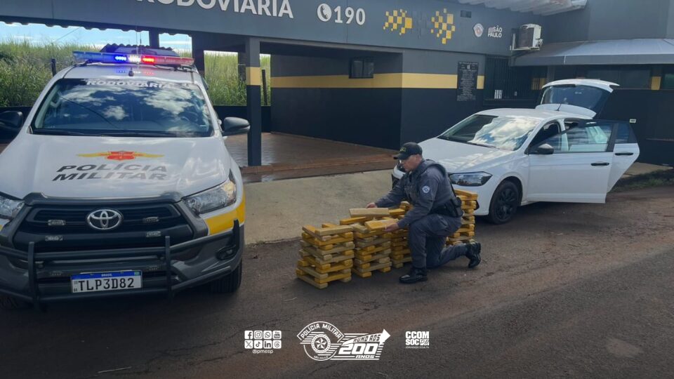 Polícia Militar prende casal por tráfico e apreende 137 kg de maconha em rodovia paulista