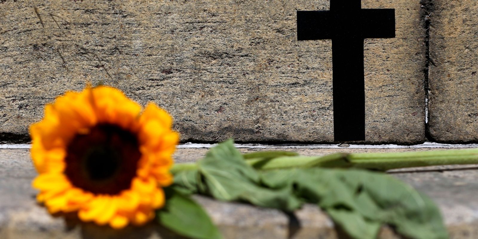 Feminicídio em São Paulo cresce 41%; descumprimento de medida protetiva aumenta 31,9%