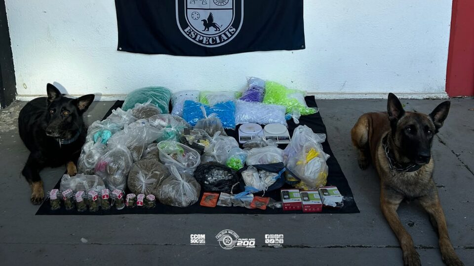 Cães do 5º BAEP localizam mais de 21 Kg de drogas durante operação na zona leste da Capital
