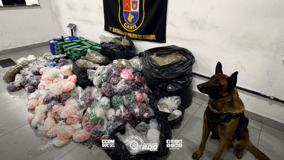 Cão farejador da Polícia Militar localiza quase 300 Kg de drogas em comunidade da Zona Sul