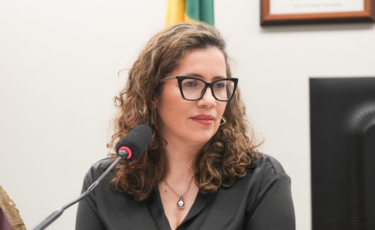 Câmara aprova veto a incentivo público para projetos culturais que incitem violência contra a mulher