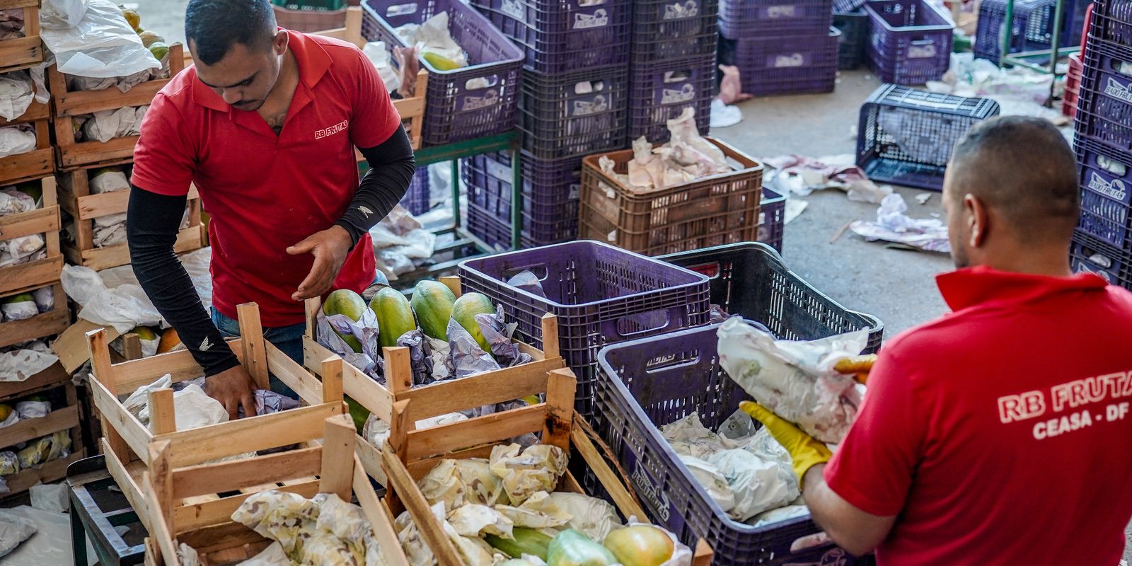 Agricultura familiar terá R$ 97,3 bilhões em crédito no Plano Safra 2026/2027