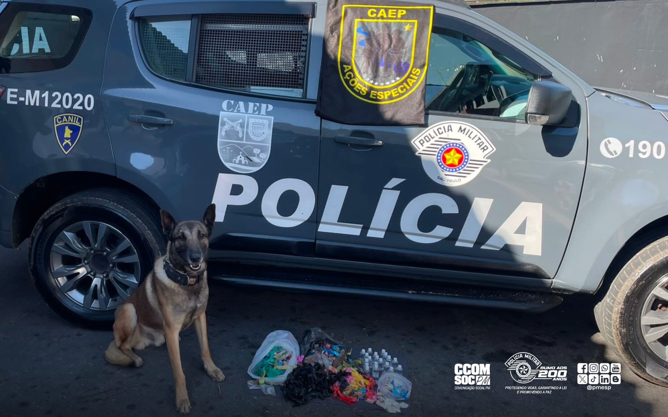 Cão farejador localiza mais de 2,4 quilos de drogas durante ação da Polícia Militar em Poá