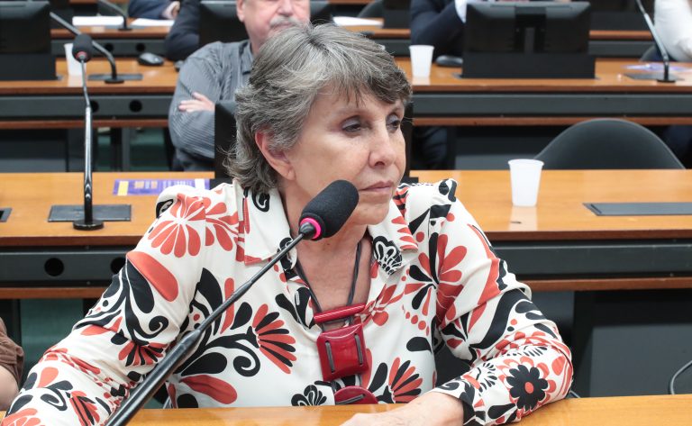 Câmara dos Deputados discute a relevância de dados oficiais para a população LGBTQIA+