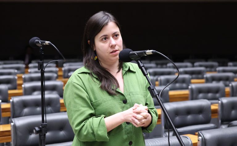 Proposta na Câmara restringe acesso a armas de fogo para quem possui medida protetiva