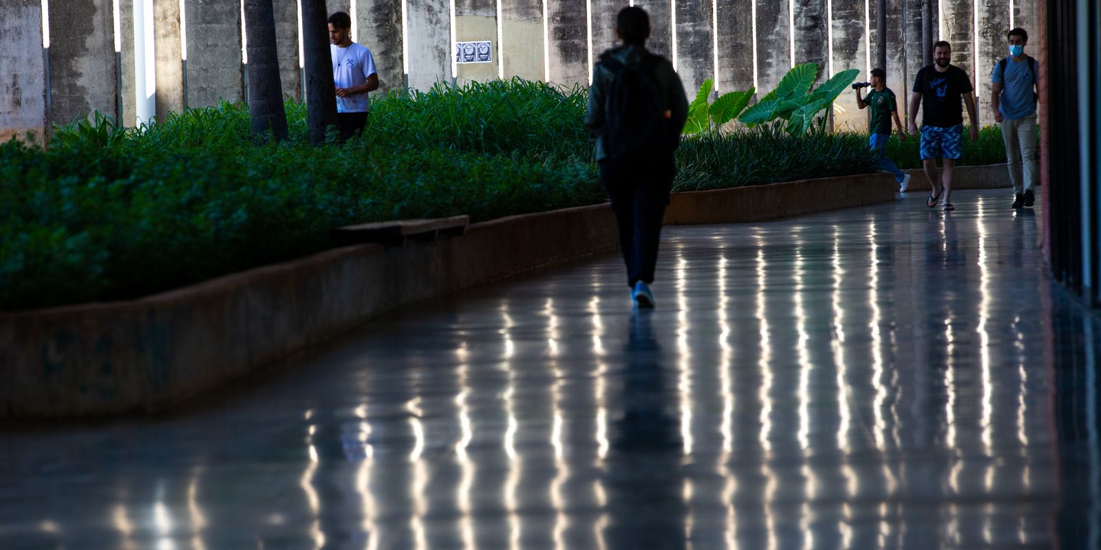 Prazo para solicitar a criação de cuidotecas nas universidades termina neste sábado